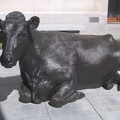 Museum of Fine Arts Cow